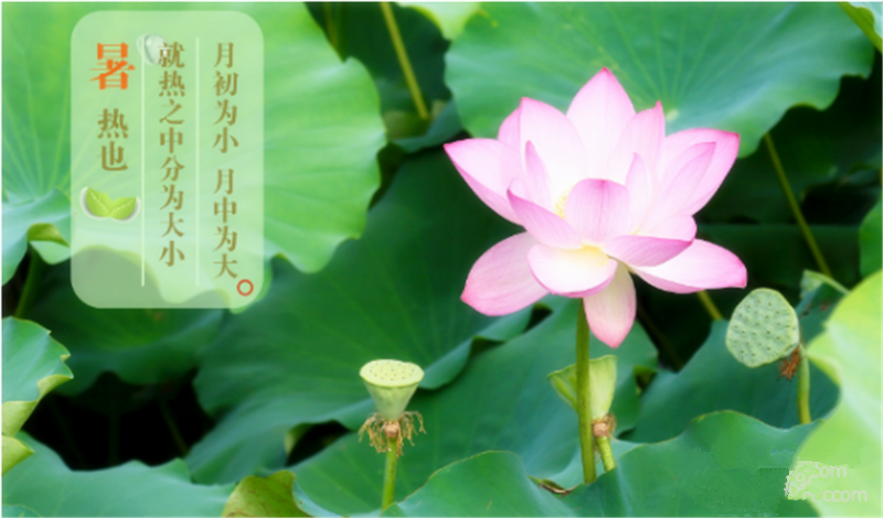 暑臻三伏醉難熬，拭汗揮巾似雨飄（piāo）——鐵絲成型機