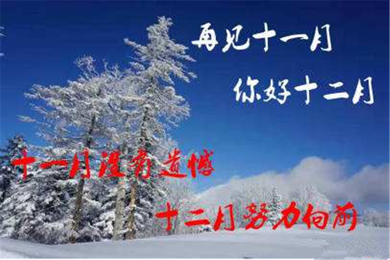 11月再見 ，12月你好——貝朗（lǎng）全自動鋼絲機