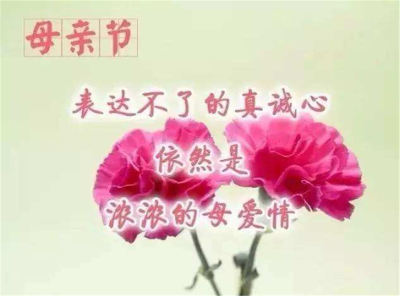 母親節——轉載網絡（luò）圖片