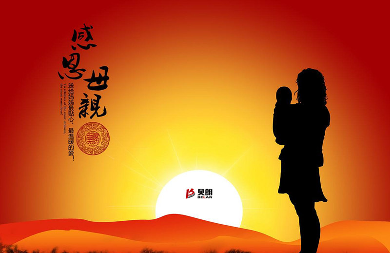 媽媽，您辛（xīn）苦了！