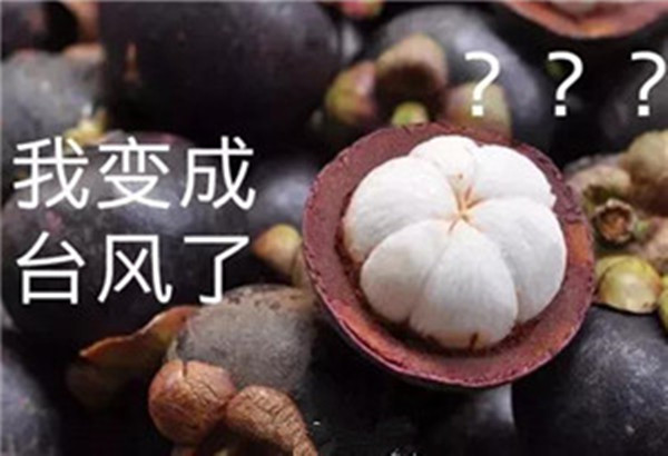 “山竹”還（hái）未（wèi）走（zǒu）遠，但（dàn）貝朗全自動彎線機已正常上（shàng）班啦！