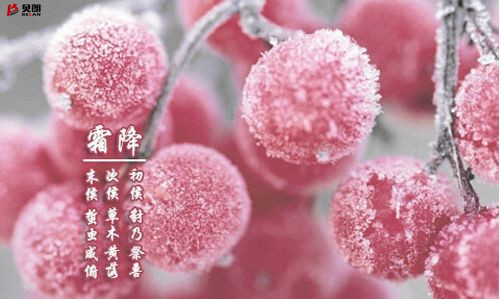 貝朗自動化設備（bèi）——霜降