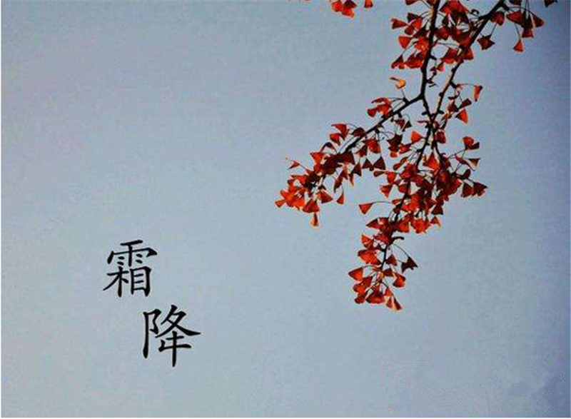 霜降——轉載網（wǎng）絡圖片（piàn）