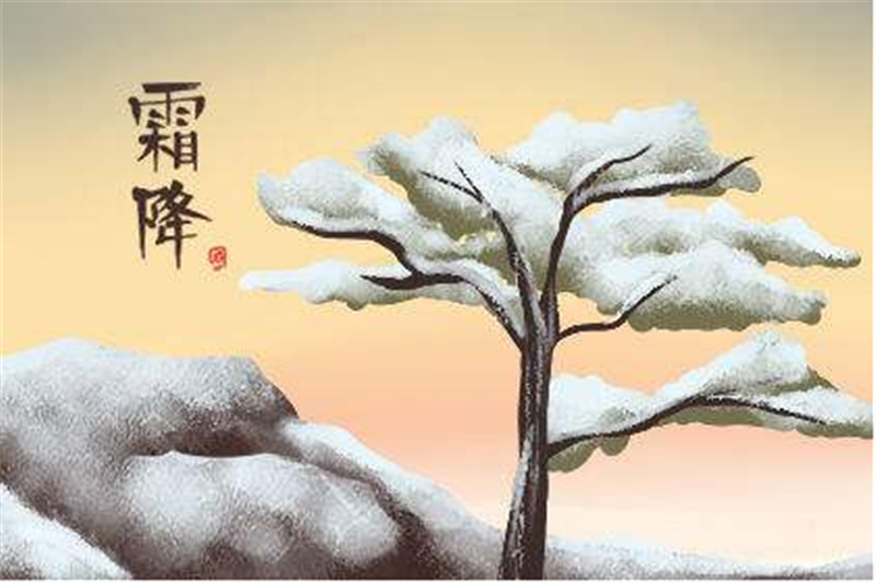 霜降——轉載（zǎi）網絡圖片
