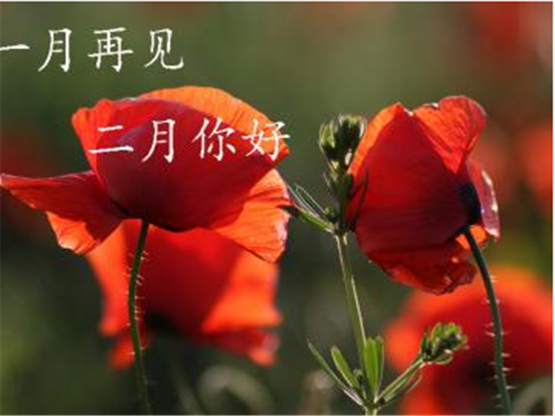 一月（yuè）再見，美好的二月你好啊