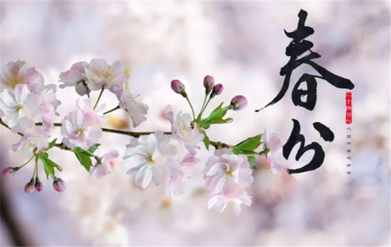 二十四節氣——春分有哪些習俗（sú）？