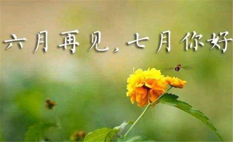 六（liù）月再見、7月你好